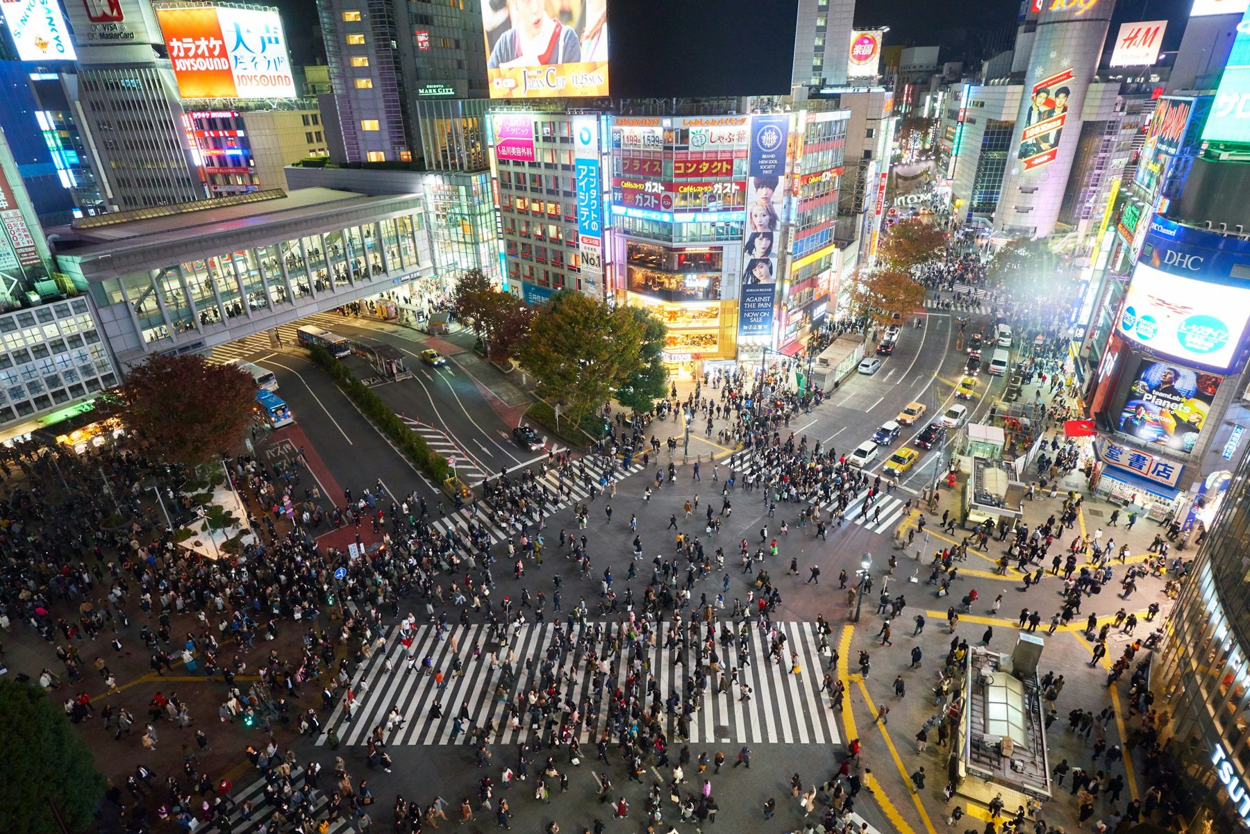 Crowds crossing Shibuya Scramble Crossing at night